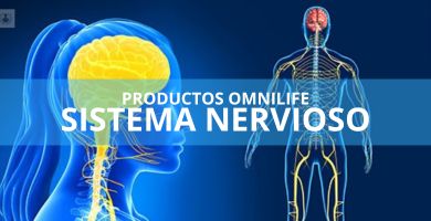 Productos Omnilife para el sistema nervioso del cuerpo